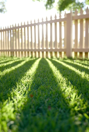 Lawn and picket fence