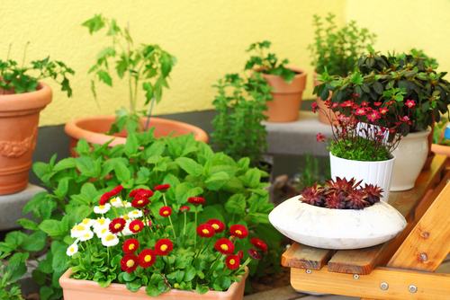 Garden Design for Small Spaces