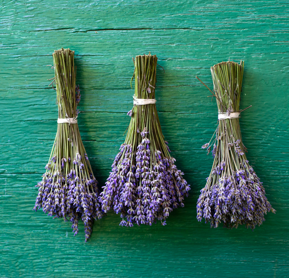 Dried Flower Arrangements for Fall