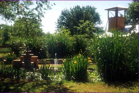 Paul Lusk Eco-friendly architecture
