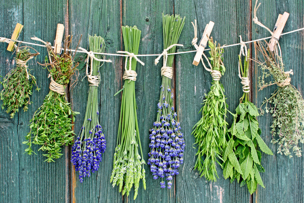 Hanging Herbs 