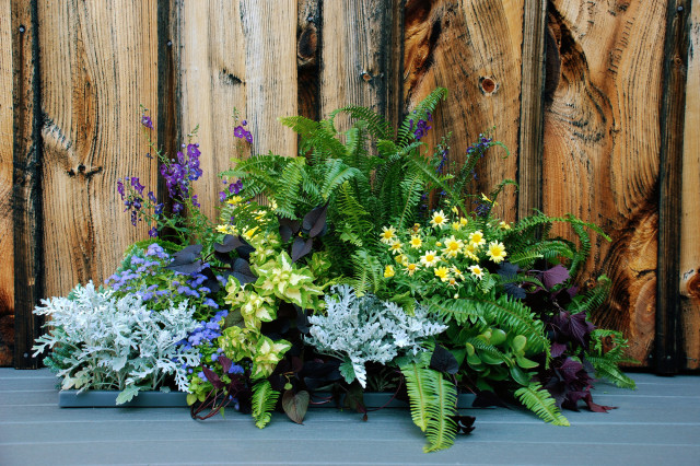 wellspring-dropin-deck-planter-full