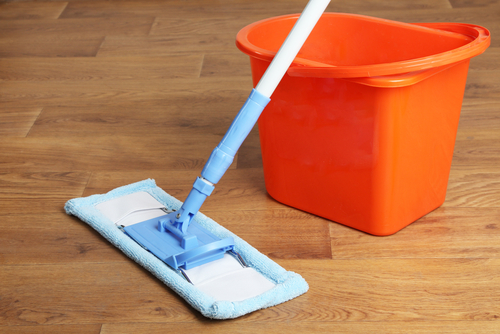 Mop with a bucket